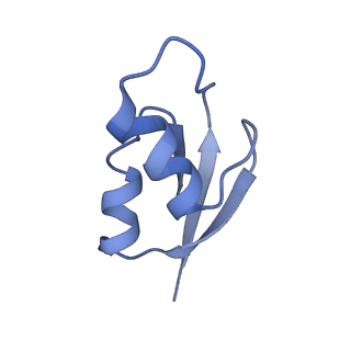 8617_5uym_28_v1-4
70S ribosome bound with cognate ternary complex base-paired to A site codon, closed 30S (Structure III)