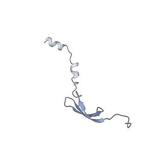 8617_5uym_29_v1-3
70S ribosome bound with cognate ternary complex base-paired to A site codon, closed 30S (Structure III)