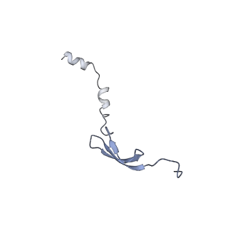 8617_5uym_29_v1-4
70S ribosome bound with cognate ternary complex base-paired to A site codon, closed 30S (Structure III)