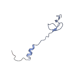 8617_5uym_30_v1-4
70S ribosome bound with cognate ternary complex base-paired to A site codon, closed 30S (Structure III)