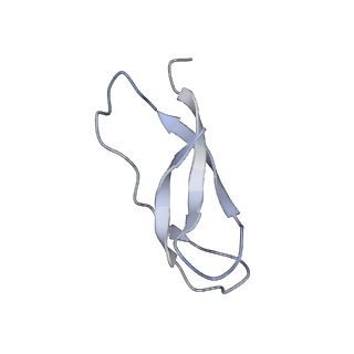 8617_5uym_31_v1-4
70S ribosome bound with cognate ternary complex base-paired to A site codon, closed 30S (Structure III)