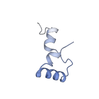 8617_5uym_32_v1-3
70S ribosome bound with cognate ternary complex base-paired to A site codon, closed 30S (Structure III)