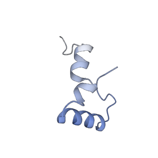 8617_5uym_32_v1-4
70S ribosome bound with cognate ternary complex base-paired to A site codon, closed 30S (Structure III)