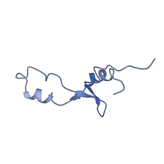 8617_5uym_33_v1-4
70S ribosome bound with cognate ternary complex base-paired to A site codon, closed 30S (Structure III)