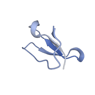 8617_5uym_34_v1-4
70S ribosome bound with cognate ternary complex base-paired to A site codon, closed 30S (Structure III)