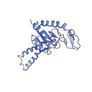 8617_5uym_B_v1-3
70S ribosome bound with cognate ternary complex base-paired to A site codon, closed 30S (Structure III)