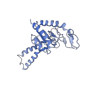 8617_5uym_B_v1-4
70S ribosome bound with cognate ternary complex base-paired to A site codon, closed 30S (Structure III)