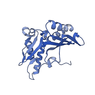 8617_5uym_C_v1-3
70S ribosome bound with cognate ternary complex base-paired to A site codon, closed 30S (Structure III)