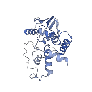 8617_5uym_D_v1-3
70S ribosome bound with cognate ternary complex base-paired to A site codon, closed 30S (Structure III)