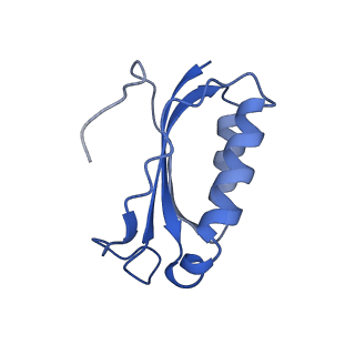 8617_5uym_F_v1-4
70S ribosome bound with cognate ternary complex base-paired to A site codon, closed 30S (Structure III)