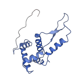 8617_5uym_G_v1-3
70S ribosome bound with cognate ternary complex base-paired to A site codon, closed 30S (Structure III)