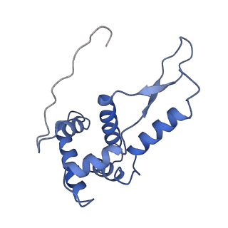 8617_5uym_G_v1-4
70S ribosome bound with cognate ternary complex base-paired to A site codon, closed 30S (Structure III)