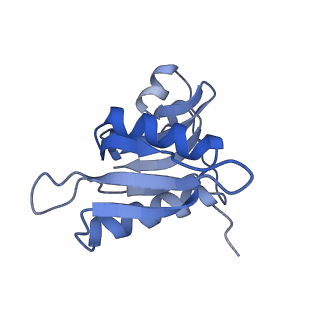 8617_5uym_H_v1-3
70S ribosome bound with cognate ternary complex base-paired to A site codon, closed 30S (Structure III)