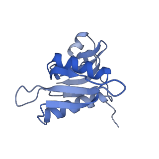 8617_5uym_H_v1-4
70S ribosome bound with cognate ternary complex base-paired to A site codon, closed 30S (Structure III)