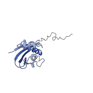 8617_5uym_I_v1-4
70S ribosome bound with cognate ternary complex base-paired to A site codon, closed 30S (Structure III)