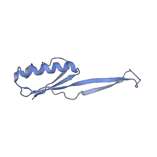 8617_5uym_J_v1-4
70S ribosome bound with cognate ternary complex base-paired to A site codon, closed 30S (Structure III)