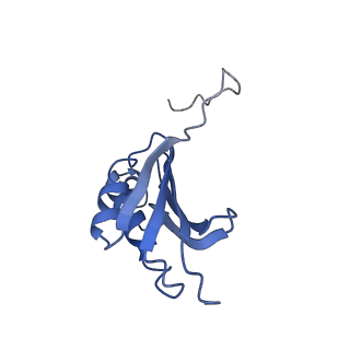 8617_5uym_K_v1-3
70S ribosome bound with cognate ternary complex base-paired to A site codon, closed 30S (Structure III)
