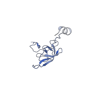 8617_5uym_L_v1-3
70S ribosome bound with cognate ternary complex base-paired to A site codon, closed 30S (Structure III)