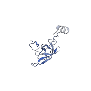 8617_5uym_L_v1-4
70S ribosome bound with cognate ternary complex base-paired to A site codon, closed 30S (Structure III)