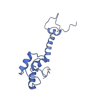 8617_5uym_M_v1-3
70S ribosome bound with cognate ternary complex base-paired to A site codon, closed 30S (Structure III)