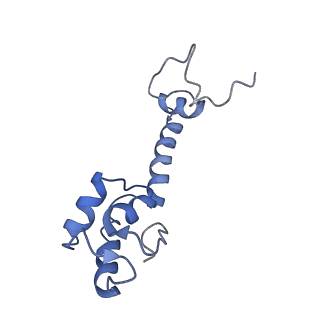 8617_5uym_M_v1-4
70S ribosome bound with cognate ternary complex base-paired to A site codon, closed 30S (Structure III)