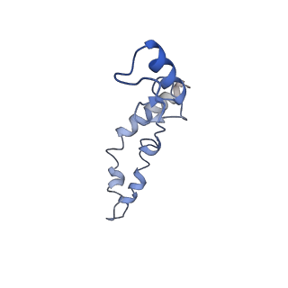 8617_5uym_N_v1-3
70S ribosome bound with cognate ternary complex base-paired to A site codon, closed 30S (Structure III)