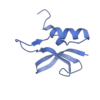 8617_5uym_P_v1-3
70S ribosome bound with cognate ternary complex base-paired to A site codon, closed 30S (Structure III)