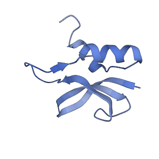 8617_5uym_P_v1-4
70S ribosome bound with cognate ternary complex base-paired to A site codon, closed 30S (Structure III)