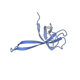 8617_5uym_Q_v1-4
70S ribosome bound with cognate ternary complex base-paired to A site codon, closed 30S (Structure III)