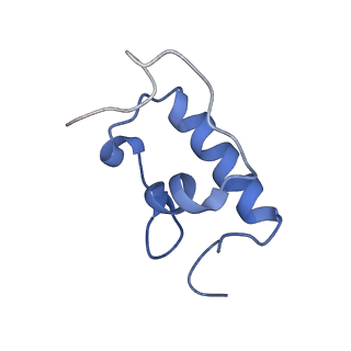 8617_5uym_R_v1-3
70S ribosome bound with cognate ternary complex base-paired to A site codon, closed 30S (Structure III)
