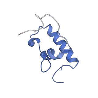 8617_5uym_R_v1-4
70S ribosome bound with cognate ternary complex base-paired to A site codon, closed 30S (Structure III)