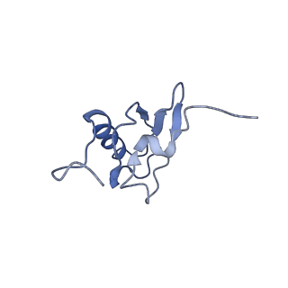 8617_5uym_S_v1-3
70S ribosome bound with cognate ternary complex base-paired to A site codon, closed 30S (Structure III)