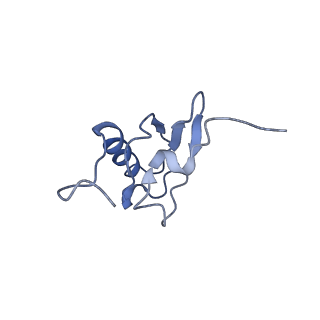 8617_5uym_S_v1-4
70S ribosome bound with cognate ternary complex base-paired to A site codon, closed 30S (Structure III)