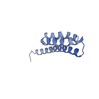 8617_5uym_T_v1-4
70S ribosome bound with cognate ternary complex base-paired to A site codon, closed 30S (Structure III)