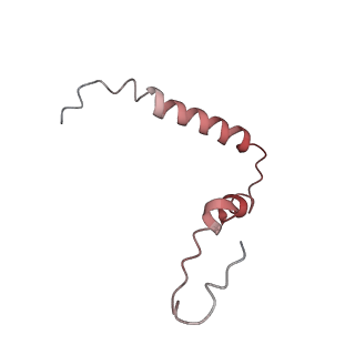 8617_5uym_U_v1-3
70S ribosome bound with cognate ternary complex base-paired to A site codon, closed 30S (Structure III)