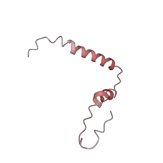 8617_5uym_U_v1-4
70S ribosome bound with cognate ternary complex base-paired to A site codon, closed 30S (Structure III)