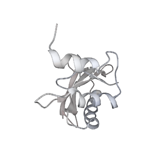 8618_5uyn_03_v1-3
70S ribosome bound with near-cognate ternary complex not base-paired to A site codon (Structure I-nc)