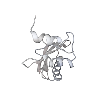 8618_5uyn_03_v1-4
70S ribosome bound with near-cognate ternary complex not base-paired to A site codon (Structure I-nc)