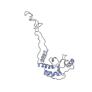 8618_5uyn_06_v1-3
70S ribosome bound with near-cognate ternary complex not base-paired to A site codon (Structure I-nc)