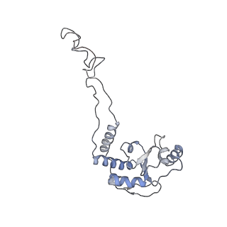 8618_5uyn_06_v1-4
70S ribosome bound with near-cognate ternary complex not base-paired to A site codon (Structure I-nc)