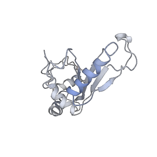 8618_5uyn_07_v1-4
70S ribosome bound with near-cognate ternary complex not base-paired to A site codon (Structure I-nc)