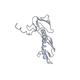 8618_5uyn_08_v1-3
70S ribosome bound with near-cognate ternary complex not base-paired to A site codon (Structure I-nc)