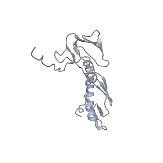 8618_5uyn_08_v1-4
70S ribosome bound with near-cognate ternary complex not base-paired to A site codon (Structure I-nc)