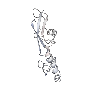 8618_5uyn_09_v1-4
70S ribosome bound with near-cognate ternary complex not base-paired to A site codon (Structure I-nc)