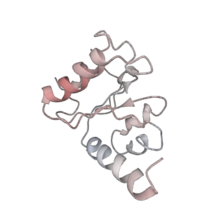 8618_5uyn_10_v1-3
70S ribosome bound with near-cognate ternary complex not base-paired to A site codon (Structure I-nc)