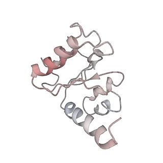 8618_5uyn_10_v1-4
70S ribosome bound with near-cognate ternary complex not base-paired to A site codon (Structure I-nc)