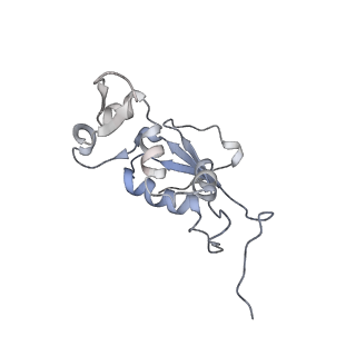 8618_5uyn_12_v1-3
70S ribosome bound with near-cognate ternary complex not base-paired to A site codon (Structure I-nc)
