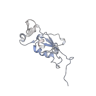 8618_5uyn_12_v1-4
70S ribosome bound with near-cognate ternary complex not base-paired to A site codon (Structure I-nc)