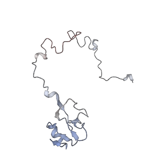 8618_5uyn_14_v1-3
70S ribosome bound with near-cognate ternary complex not base-paired to A site codon (Structure I-nc)