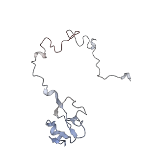 8618_5uyn_14_v1-4
70S ribosome bound with near-cognate ternary complex not base-paired to A site codon (Structure I-nc)